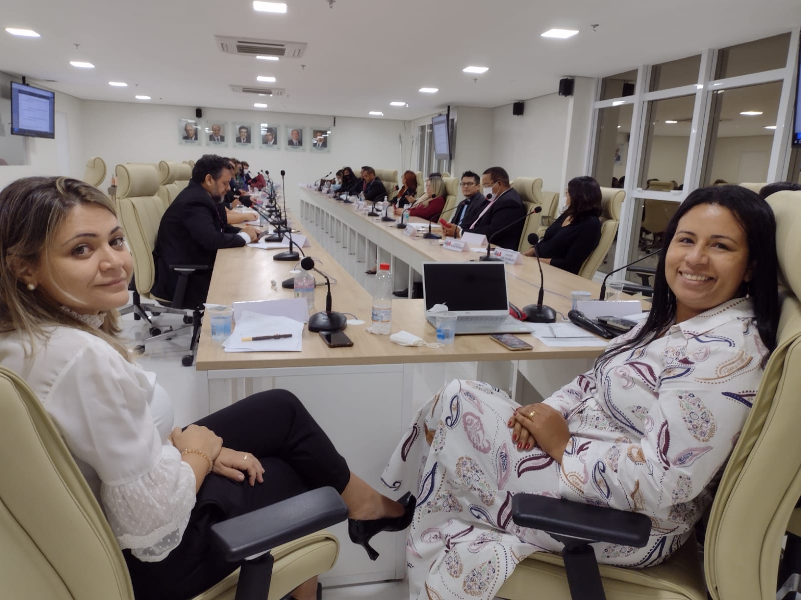 Sessão Ordinária do Conselho Seccional é presidida pela presidente em exercício, Camila Ilário